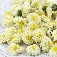 500g Organiczna herbata Premium Huang Shan Tribute biała chryzantema suszona herbata kwiatowa