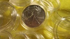 25  US Mint Proof or Uncirculated Silver American Eagle Capsules OGP. Free Ship!