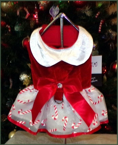 NWT Doggie Design Special Holiday Red White Candy Cane Harness Dress XS S M - Picture 7 of 9