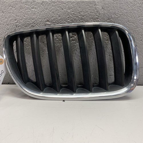 2004-2006 OEM BMW E53 X5 Right Passenger Side Kidney Grille Assembly - 第 1/15 張圖片