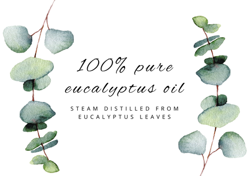 4 fl oz Eucalyptus Globulus Essential Oil Pure All Natural with 3 Free Droppers - Picture 2 of 7
