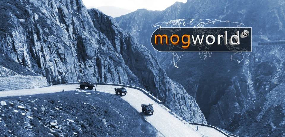 Dieselfilter Kraftstofffilter Unimog U411 U421 U403 U406 U416 U424 U425 U427 - Bild 2 von 3