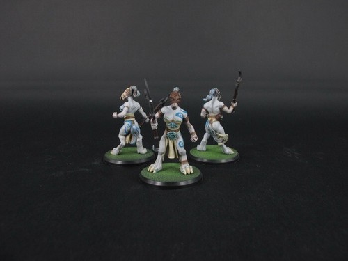 RACKHAM CONFRONTATION Wolfen of Yllia Vestals Attachment Box Game Figure WFRE05 - Picture 9 of 9