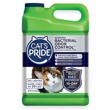 Cat's Pride Max Power: Bacterial Odor Control - Up to 10 Days of Powerful Odo...