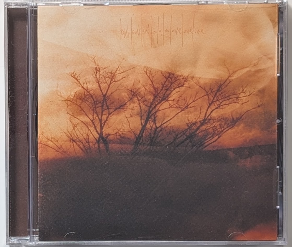 Low Low Low La La La Love Love Love CD Indie Folk Alternative 2004 Album