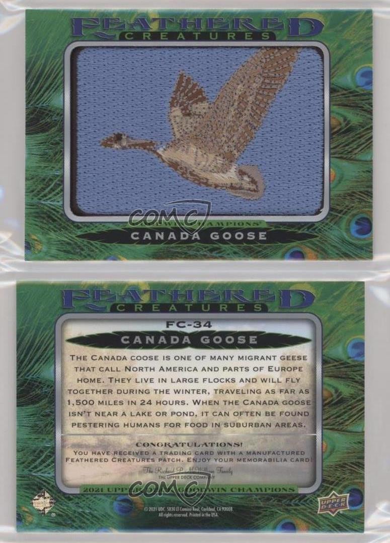2021 Goodwin Champions Feathered Creatures Tier 1 Canada Goose #FC-34 Patch 1cq2 thumbnail 3