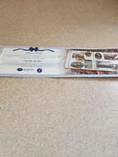 Creative Memories~Flower Bud Paper Strips~for scrapbooking/crafts