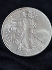 2009 US Walking Liberty American Eagle Dollar 1oz Silver Dollar  — photo 1
