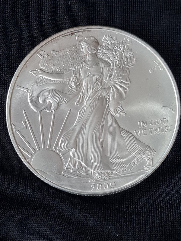 2009 US Walking Liberty American Eagle Dollar 1oz Silver Dollar 