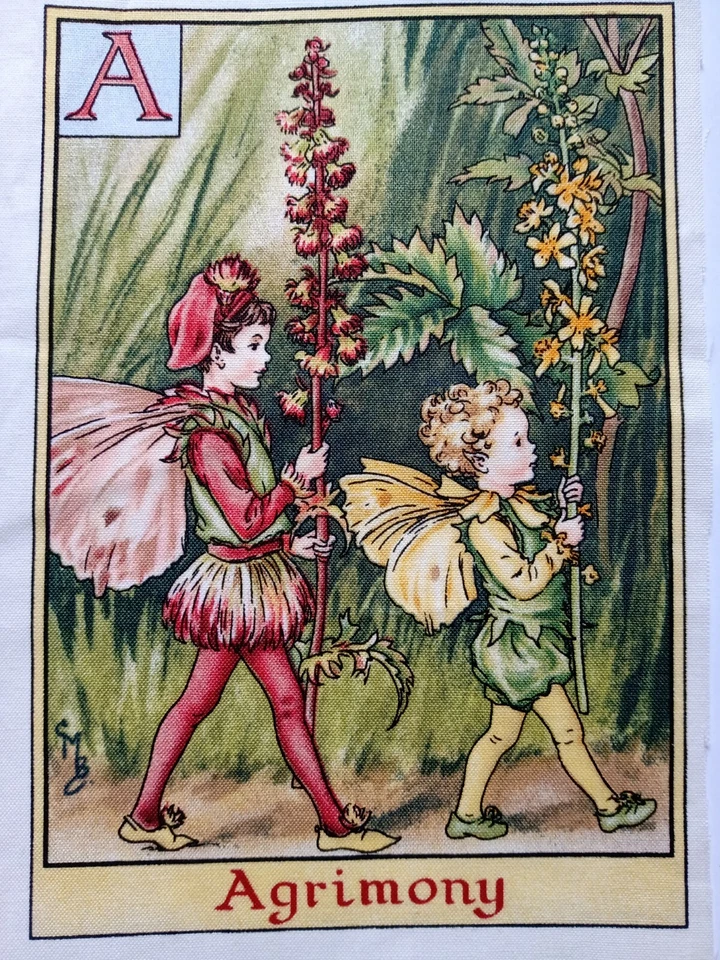 MICHAEL MILLER FABRICS A - AGRIMONY - Alphabet Letters Flower Fairies 100% Cotton Fabric Michael Miller