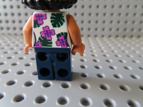 LEGO Figur Jurassic World Sammy Gutierrez jw072 76941 gebraucht - Bild 3 von 3