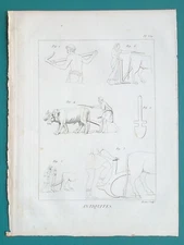 ANCIENT FARMING Agriculture Types of Plows Spade Bulls - 1804 Antique Print