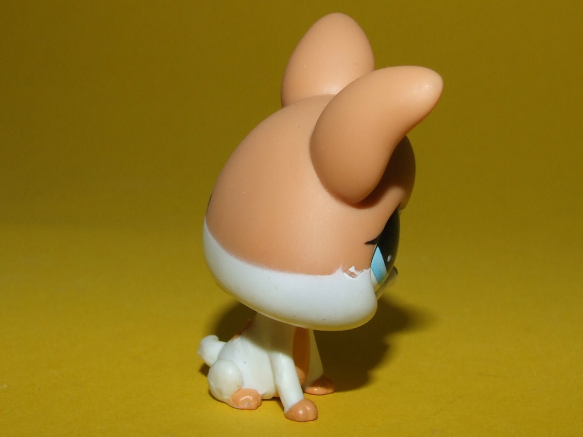 中古人物PETまとめ売り ☆ LPS # 014 CUTE FLOPPY EARED GRAY / WHITE BUNNY | Depop