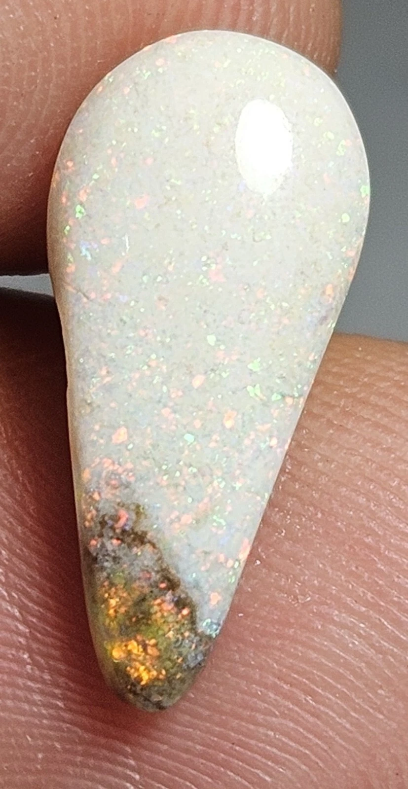 Picture 4 of 15
