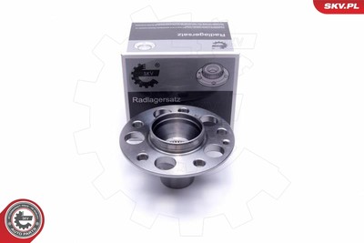 ESEN SKV 29SKV504 Radlagersatz für MERCEDES-BENZ