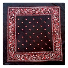 Bandana Silk Scarf Black 34.5x34.5 Regular