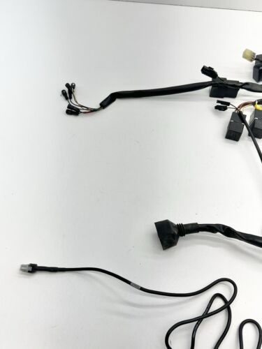 2002-2004 Triumph Speed Triple OEM Main Wire Harness Loom Wiring *READ DETAILS* - Foto 2 di 19
