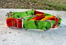 1 inch wide Adjustable Martingale Dog Collar with Metal Buckle - Green and Gold