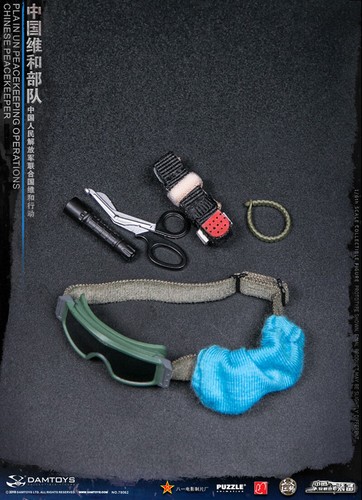 DAMTOYS 78062 Chinese Peacekeeping Force Action Figure In Stock 12in NEW - Picture 7 of 7