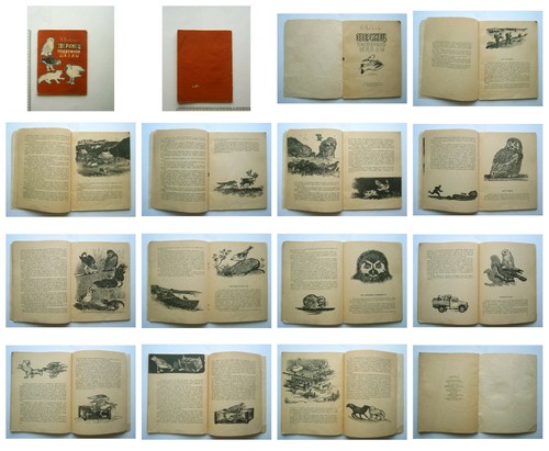 1950s Lot 9 Vintage Soviet Russian Children's Kids Books Illustrated Detgiz USSR - 第 9/12 張圖片