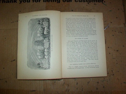 Gardening For pleasure Book By Peter Henderson 1912 - Picture 6 of 12