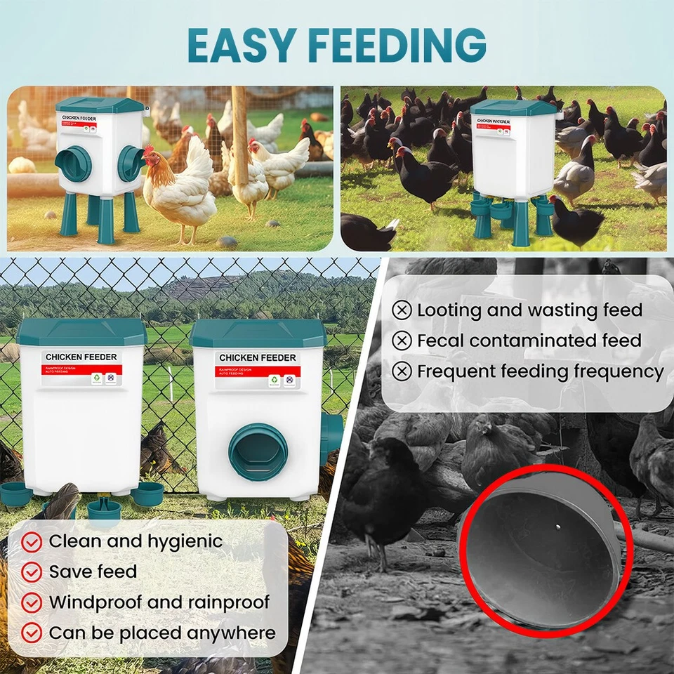 Futterautomat Hühner 12kg und Hühnertränke 11L Wassertränke Hühner mit 4 Auslass - Bild 4 von 4