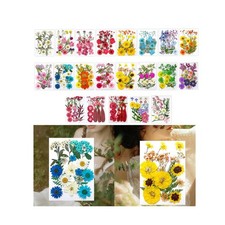 Getrocknete gepresste Blumen f&uuml;r Scrapbooking echte Trockenblumen trockene Bl&auml;tter Kits f&uuml;r
