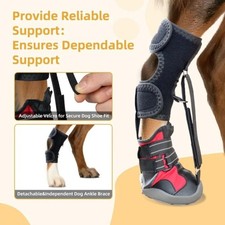 No Knuckling Boot Brace Dog Dragging Paws Corrective Dog Shoe Drop Foot Brace UK
