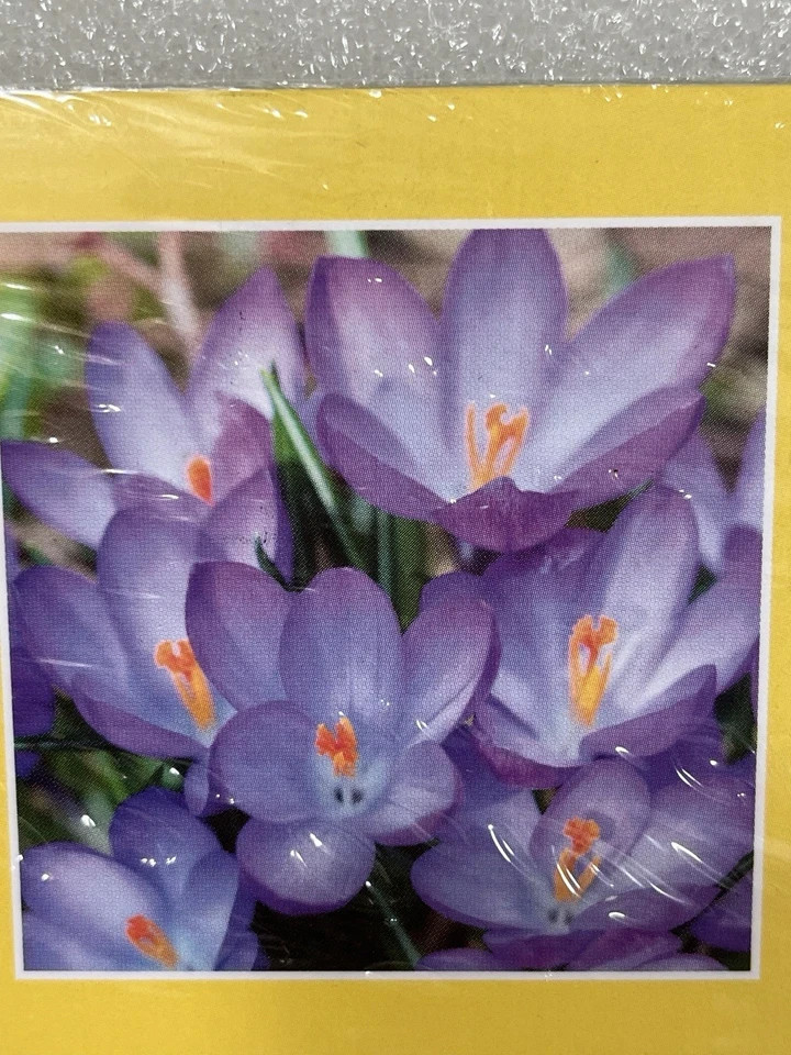 Picture 7 of 9