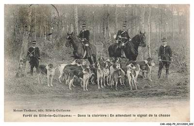 CAR-ADQP9-0554-72 - SILLE-LE-GUILLAUME - Bohrer - Auf der Lichtung - Ausstehend