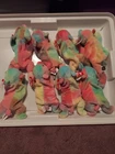 Lot Of 8, Ty Beanie Baby “Sammy”- Vintage 1998 All Different Due To Tie Dye