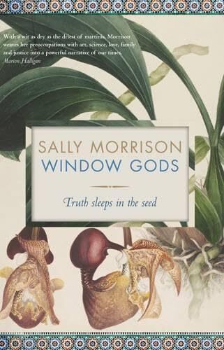 Window Gods: Truth Sleeps in the Seed... By Sally Morrison, Paperback,Very Good - Picture 1 of 1