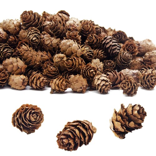 400 PCS Christmas Natural Mini Pine Cones- Thanksgiving Pine Cones Ornaments-...