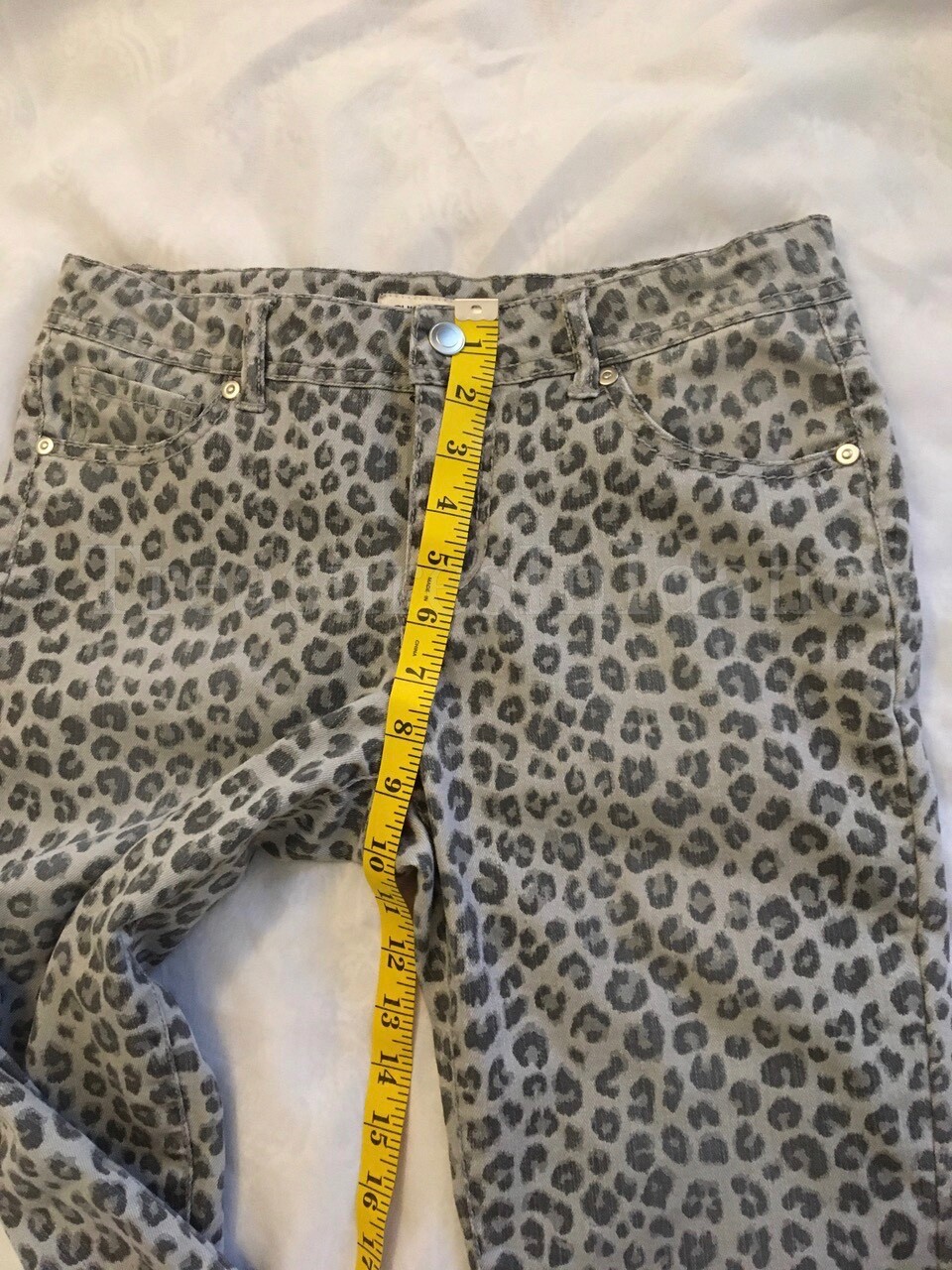 Picture 9 of 11