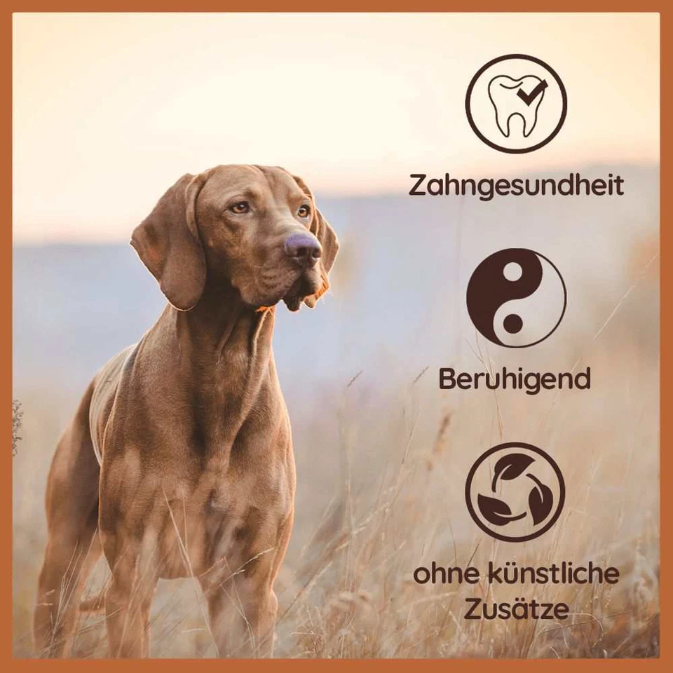 Kauwurzel aus Baumheide für Hunde, Kauspielzeug, robustes Hundespielzeug - Bild 3 von 4