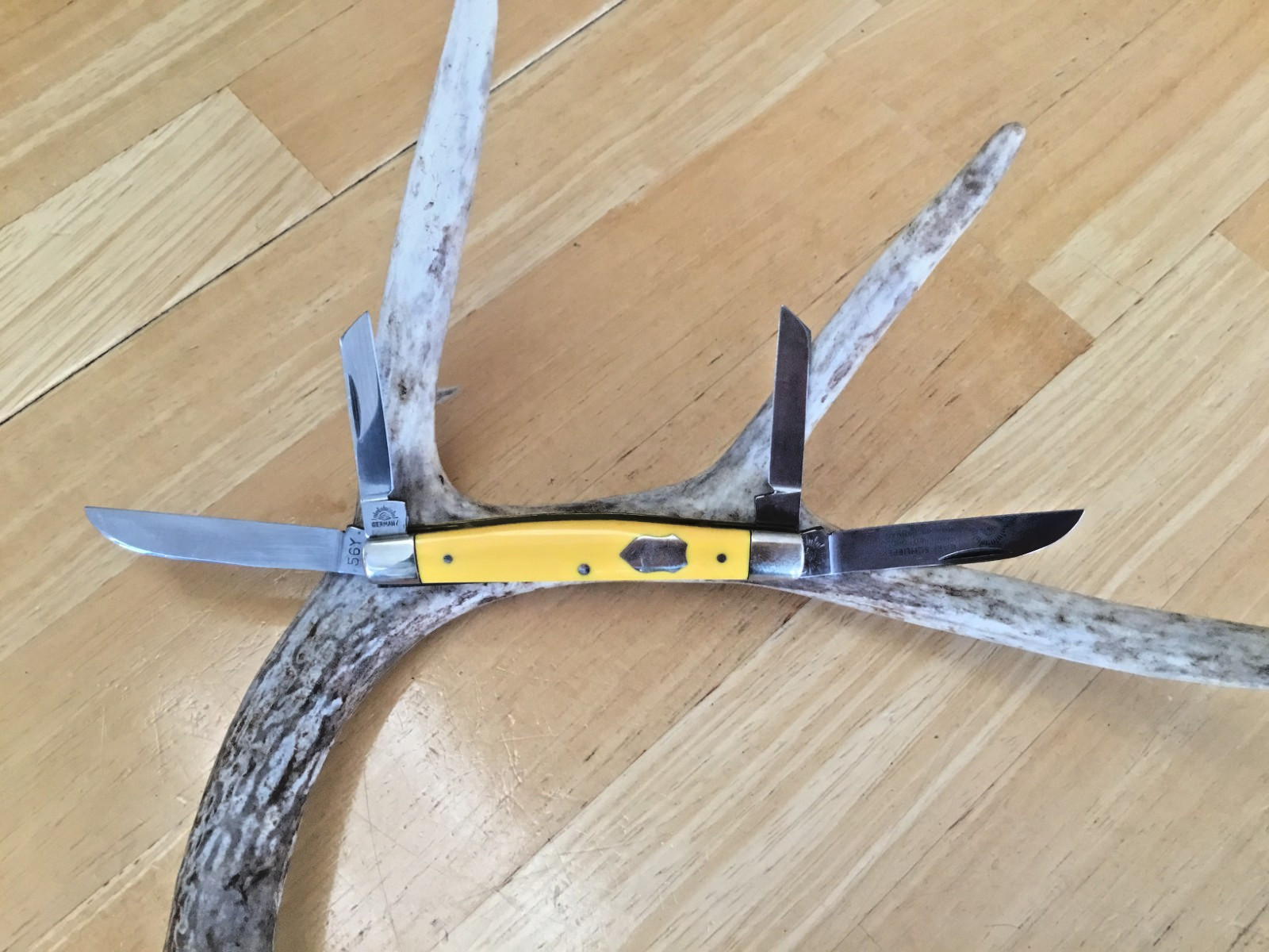Carl Schieper / Eye Brand 56Y Pocket Knife, 4 Blade Congress Knife