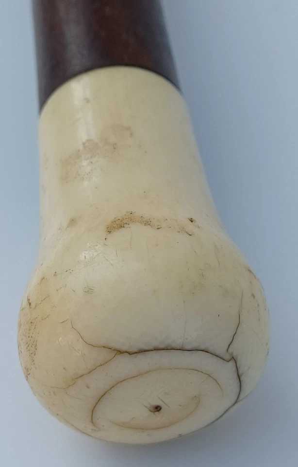 Bastón antiguo bastón con bonito y recto palo de rosa (?) Eje  Foto 4 de 4