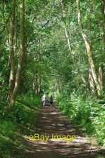 Photo 6x4 Walkers on the Flitch Way Near Felsted Little Dunmow The old ra c2019