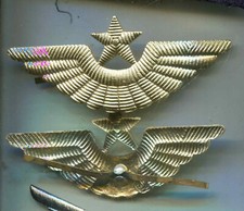 Sowjetunion: M&uuml;tzenabzeichen Luftwaffe 70mm (84)