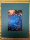 Vintage -The Lagoon Sea Life David Christopher Miller Matted Portal Print 8 X 10 — photo 2