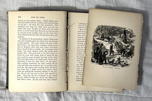 1878 Elijah Kellogg Good Old Times; Struggles for A Homestead, Gorham Maine - Picture 16 of 19
