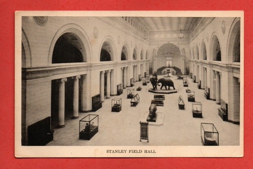 1930s FIELD MUSEUM OF NATURAL HISTORY postcard STANLEY FIELD HALL elephant - 第 1/2 張圖片