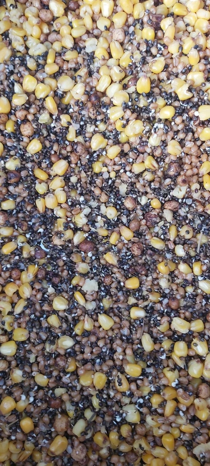 2 sachets de Graines Cuites Sous Vide pour Pêche à la Carpe - Photo 3/3