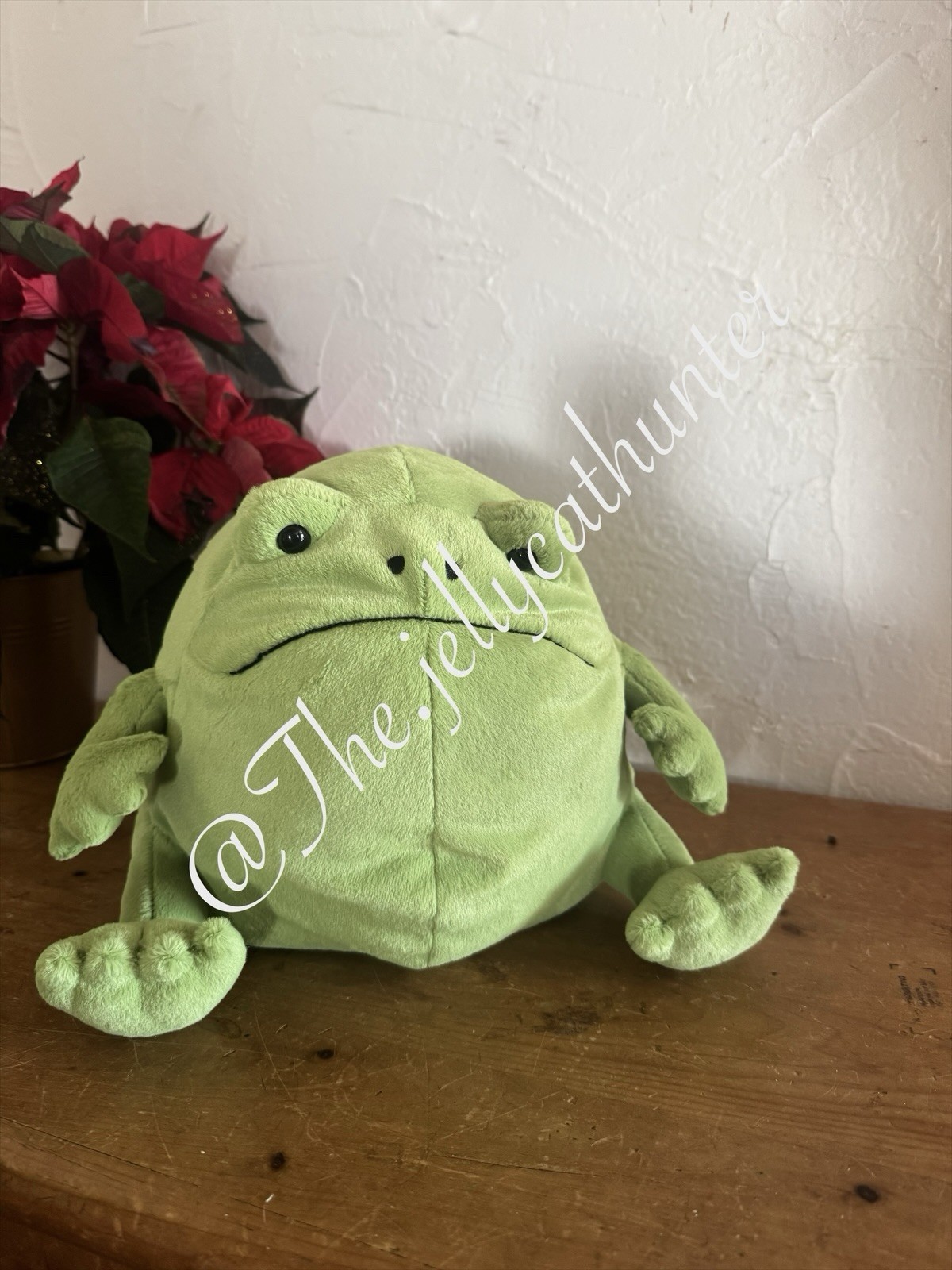 Jellycat Ricky Rain Frog Large cadeau peluche grenouille luxe pour collectionneur