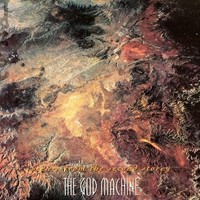 God Machine - Scenes From The Second Storey - Vinyl Record 2LP - F99Z