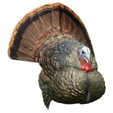 Best Turkey Decoys
