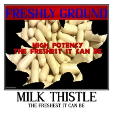 MILK THISTLE  Fresh Ground The Freshest It Can Be 100 V Capsules 500 mg
