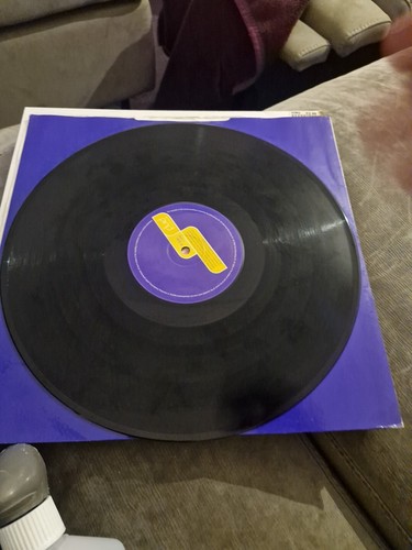 (135) Boyd Westerman – Loop Life PROG HOUSE 12" VGC+ - 第 3/3 張圖片
