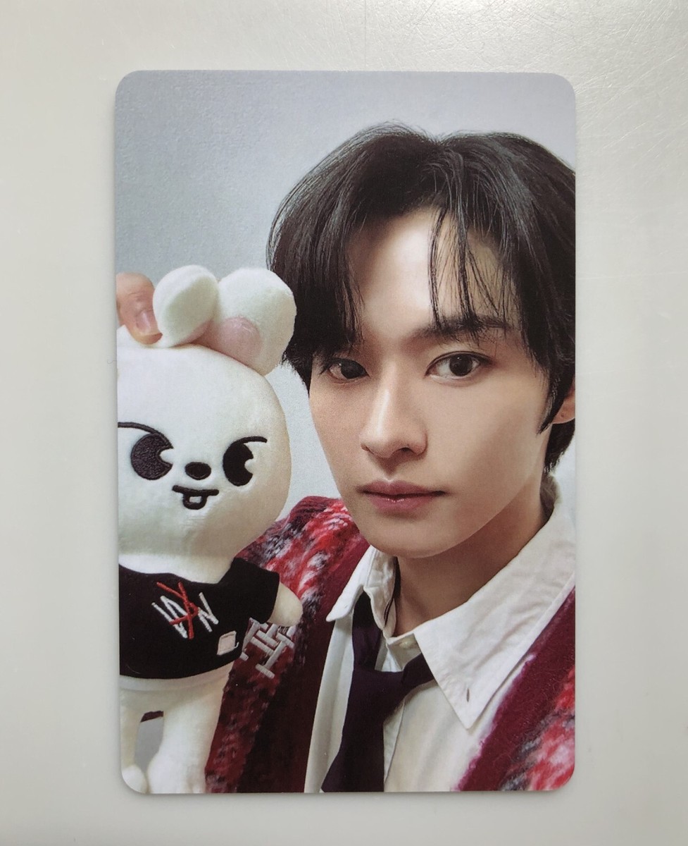 Stray Kids Lee Know Skzoo Leebit Original Size Plush & Rock Stray Kids Lee Know Skzoo Leebit Original Size Plush & Rock