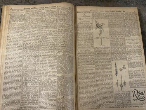 Vintage 1893 July-December Bound Volume New York Tribune Newspaper ~ BK13 - Picture 11 of 18